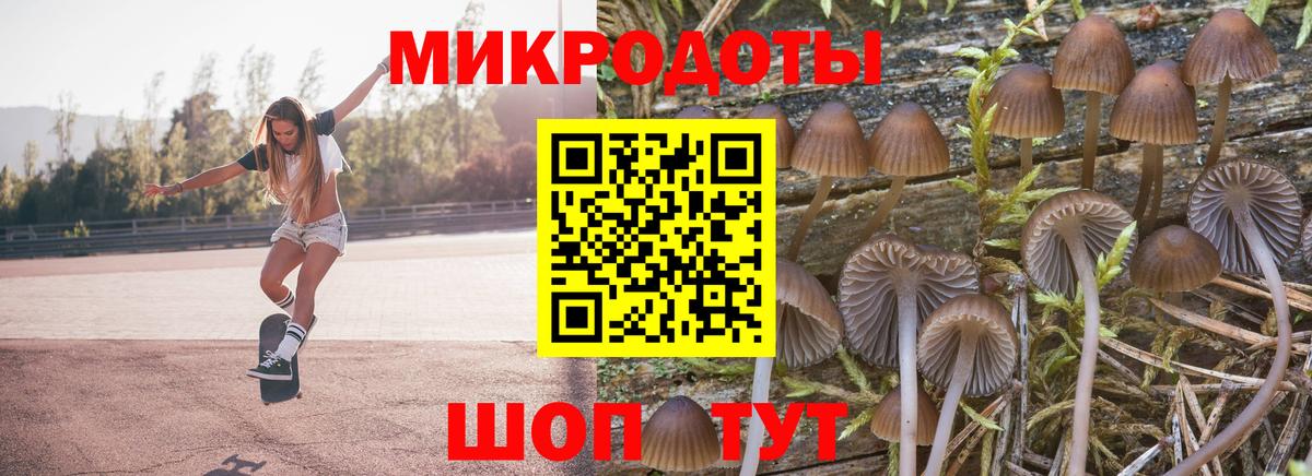 Сердобск  Псилоцибиновые грибы Cubensis  Вход с VPN 